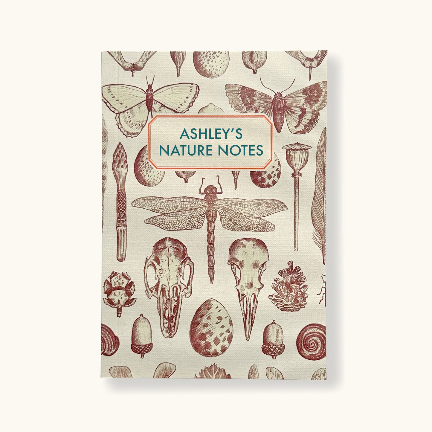 Notebook With Natural History Cover - Sukie
