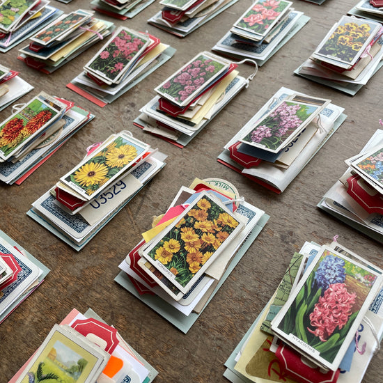 Ephemera & Paper Goods