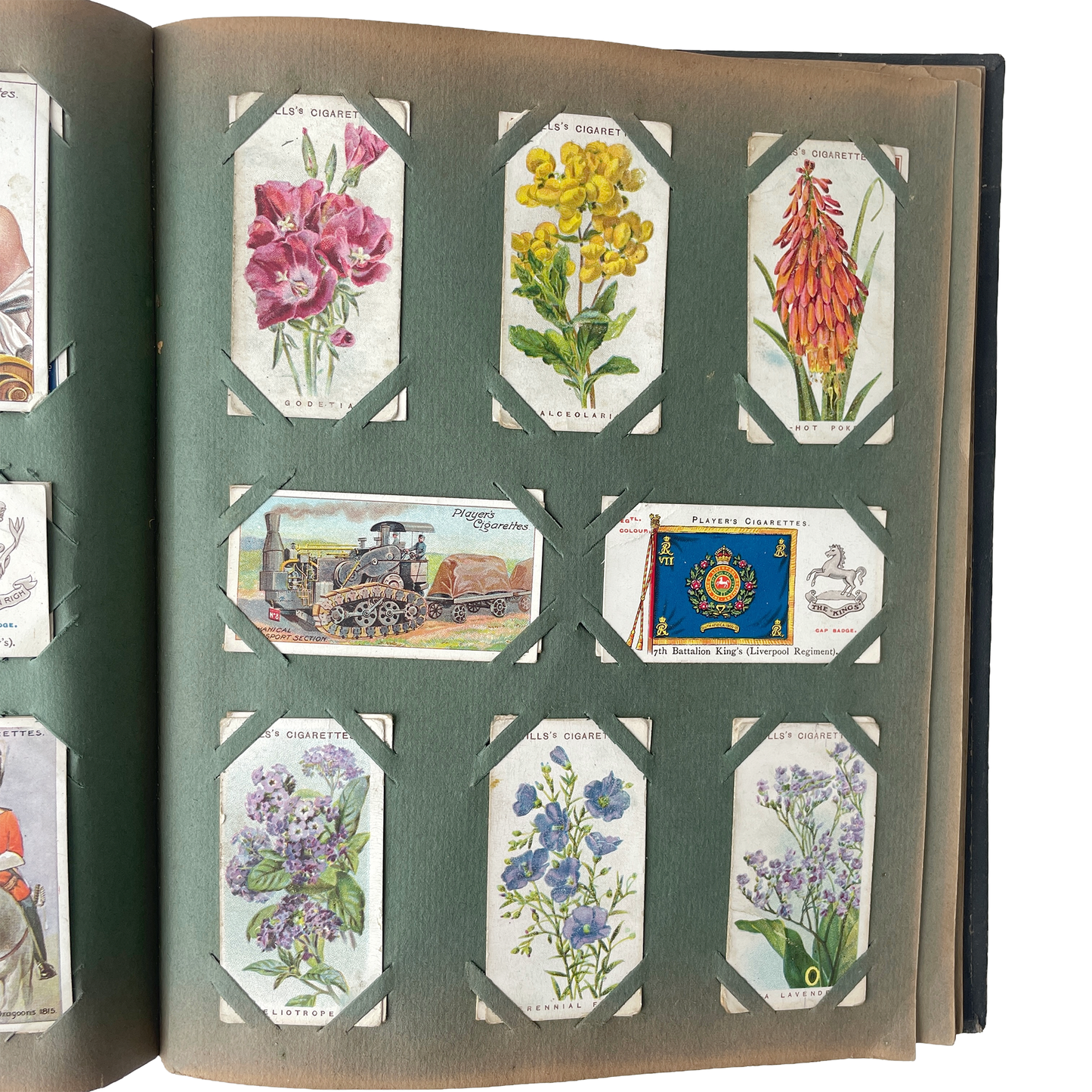 Fabulous Early 20th Century Cigarette Card Album