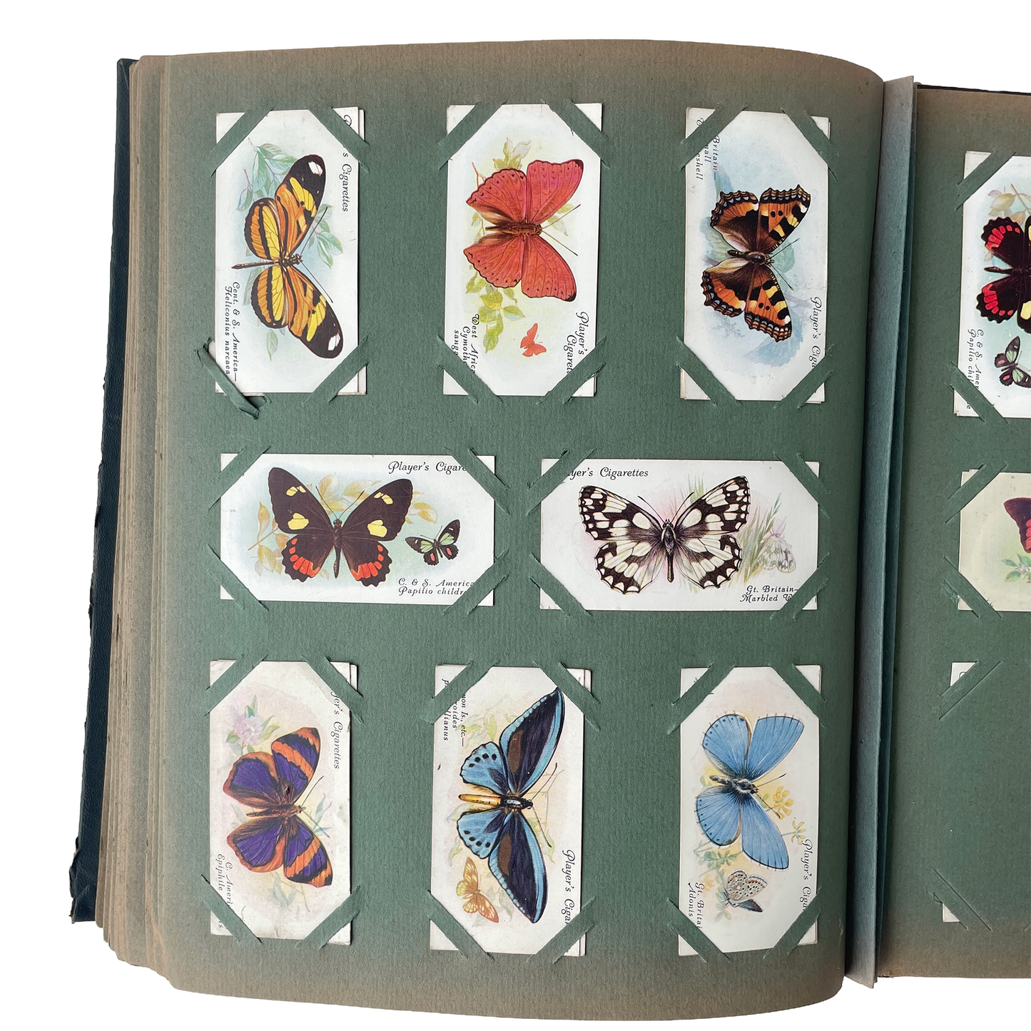 Fabulous Early 20th Century Cigarette Card Album