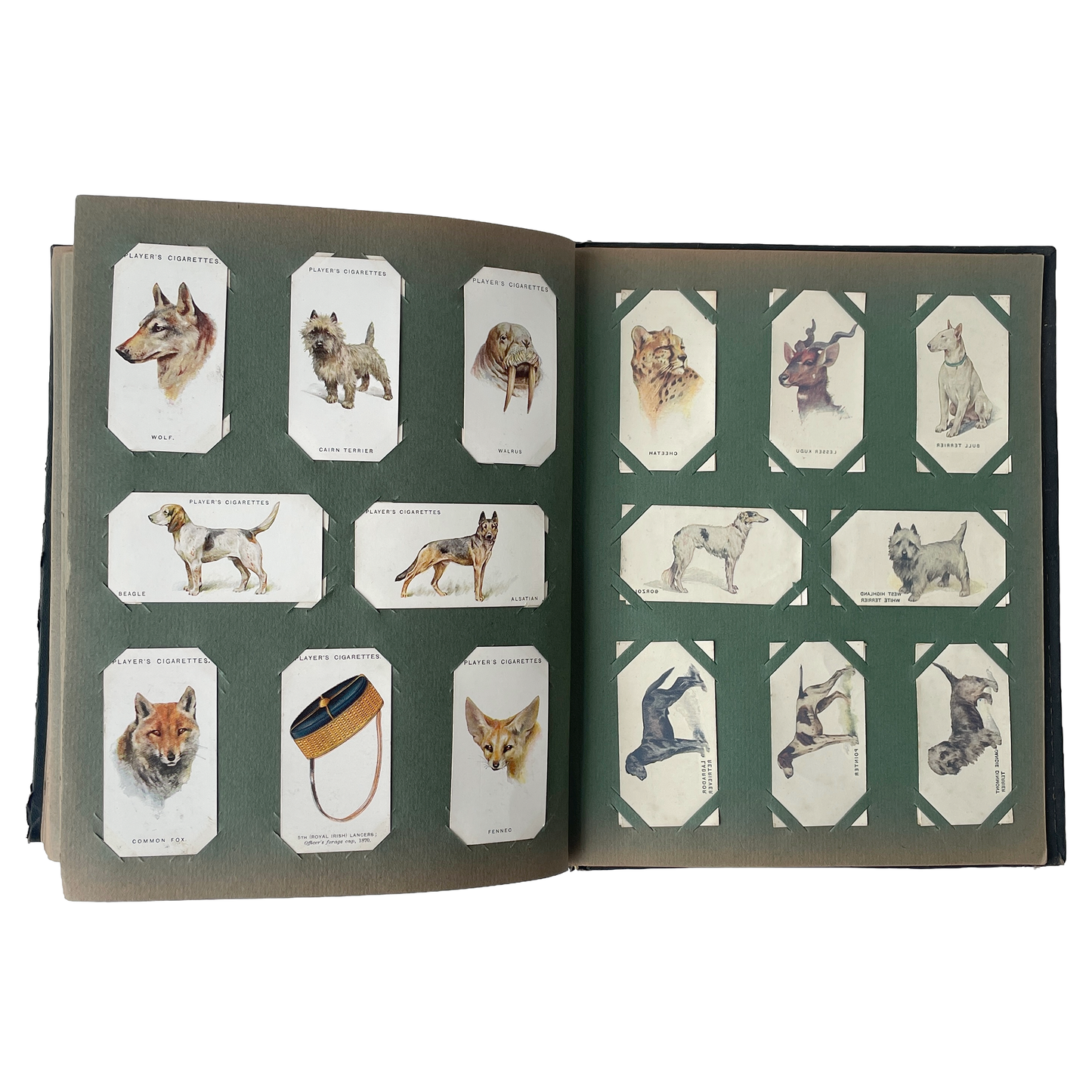 Fabulous Early 20th Century Cigarette Card Album