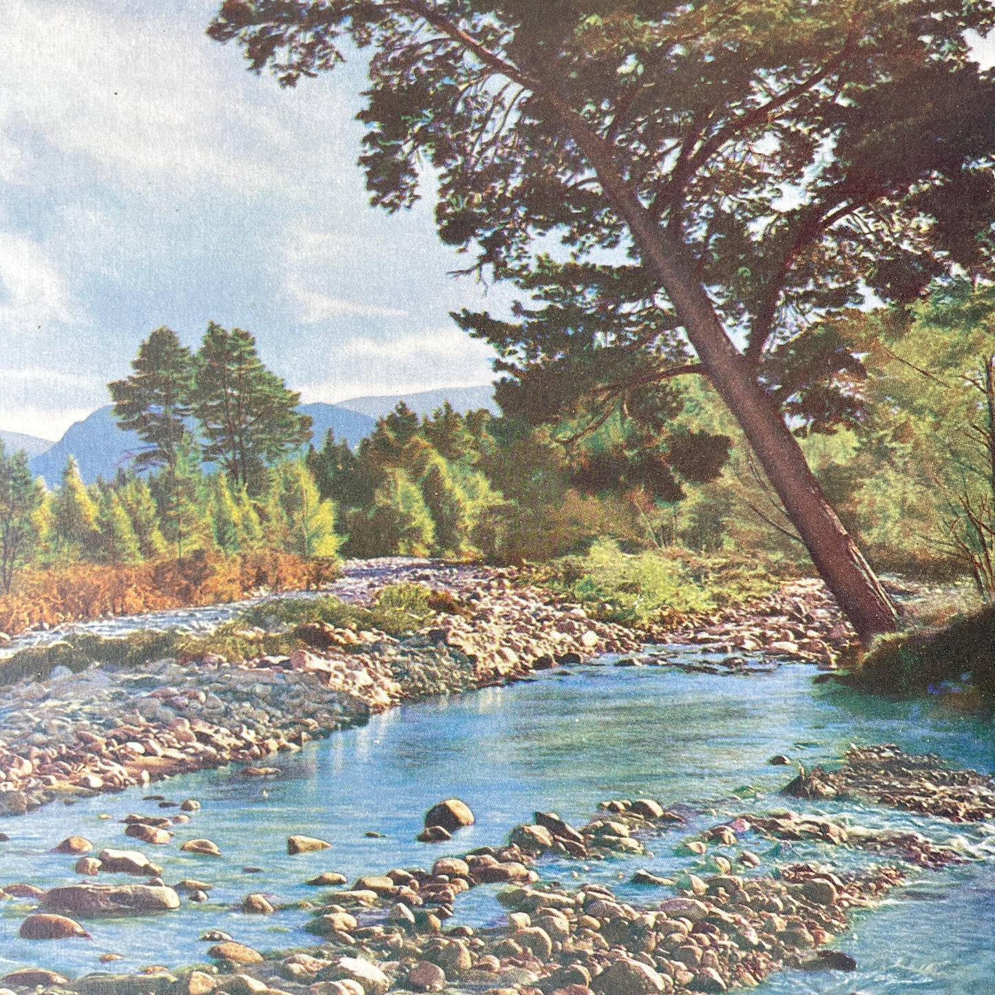 Pair of 1950s Landscape Prints