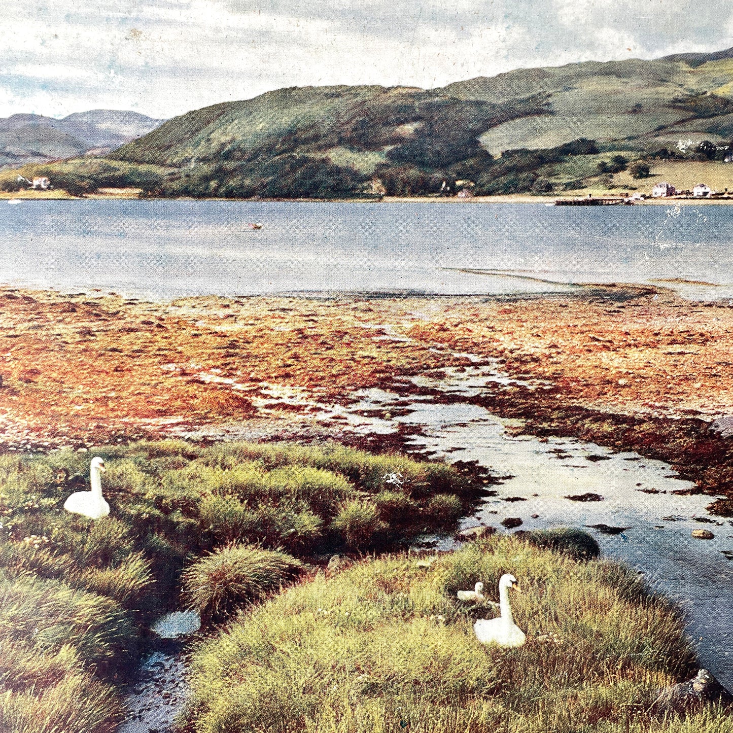 Pair of 1950s Landscape Prints