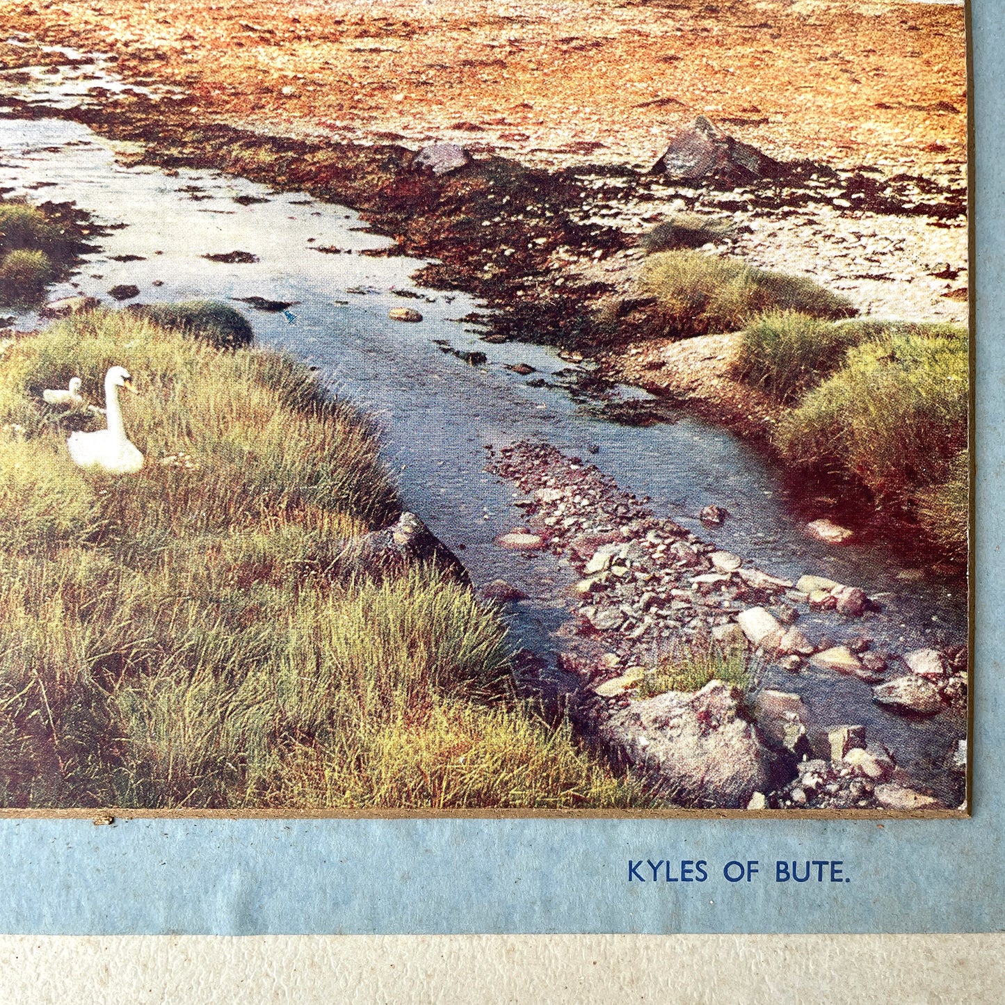 Pair of 1950s Landscape Prints