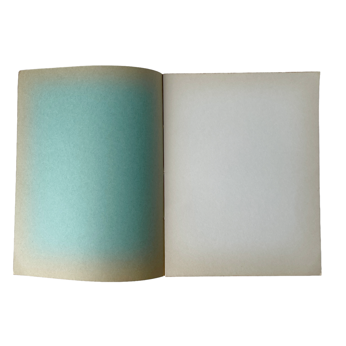 Vintage French School Exercise Book – Green