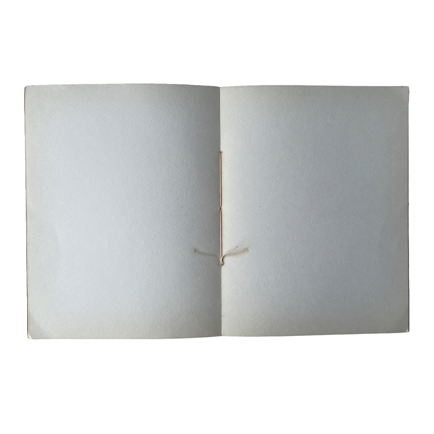 Vintage French School Exercise Book – Green