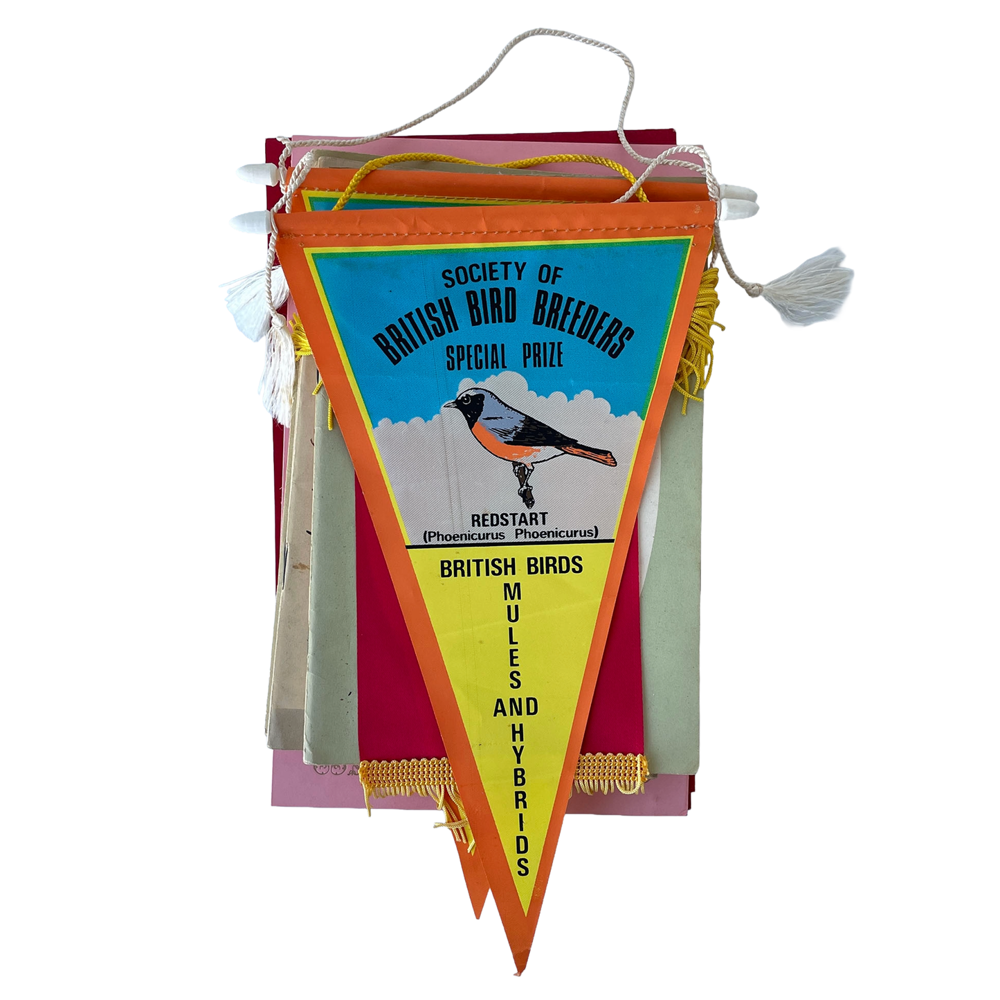 Collection of Bird and Bird Show Ephemera.