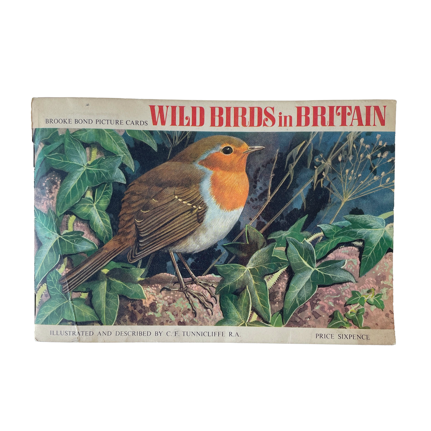 Brook Bond Picture Cards – Wild Birds in Britain