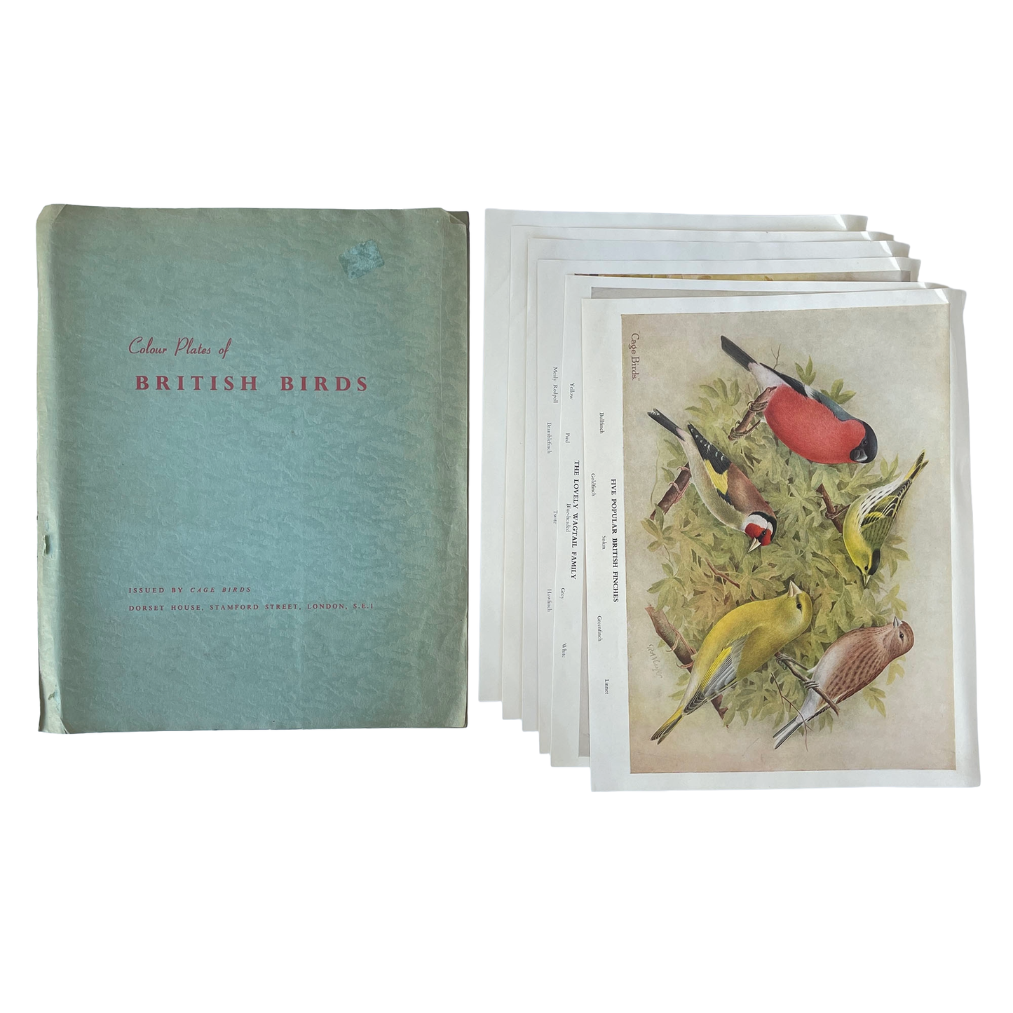 Set of 6 Colour Plates of British Birds
