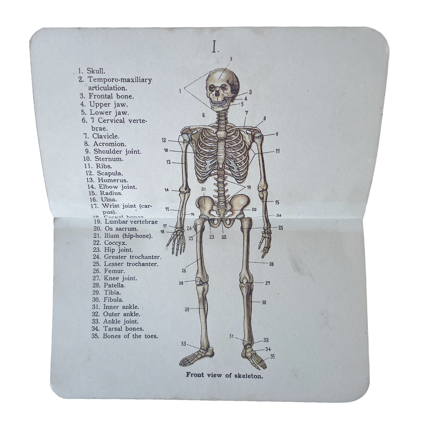 Late1800/Early 1900’s Allman’s Pocket Anatomical Atlas