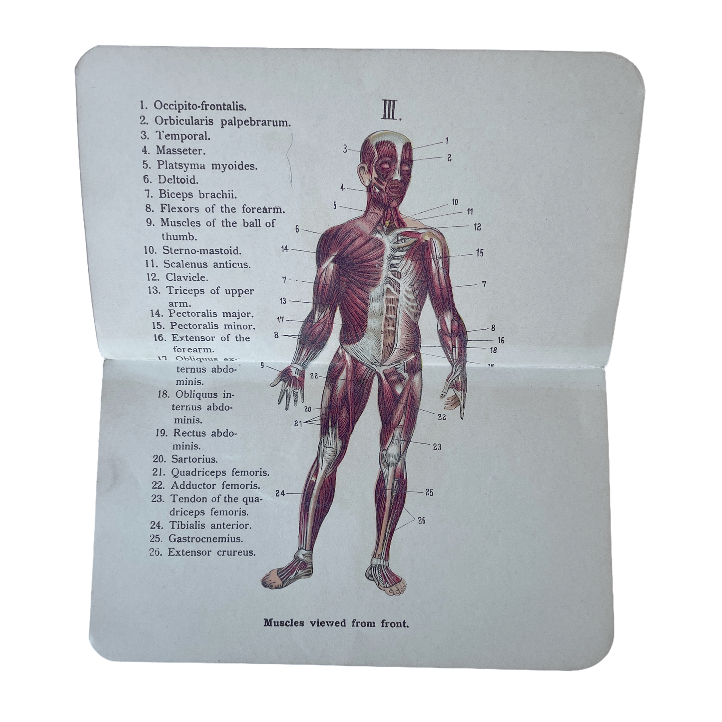 Late1800/Early 1900’s Allman’s Pocket Anatomical Atlas