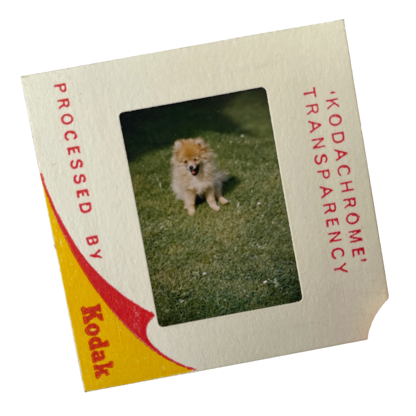 Fabulous Collection of 1960s Slides