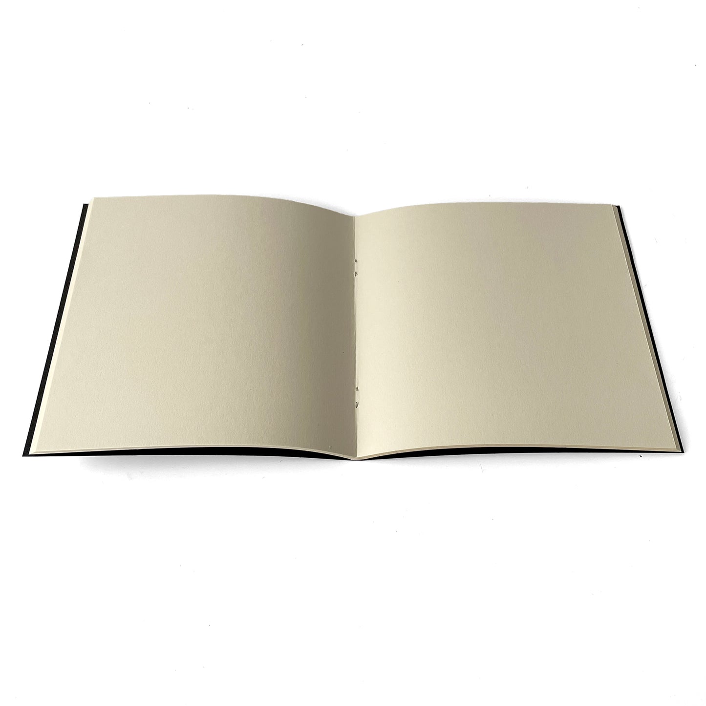 Multi-Colour Record Sleeve Book