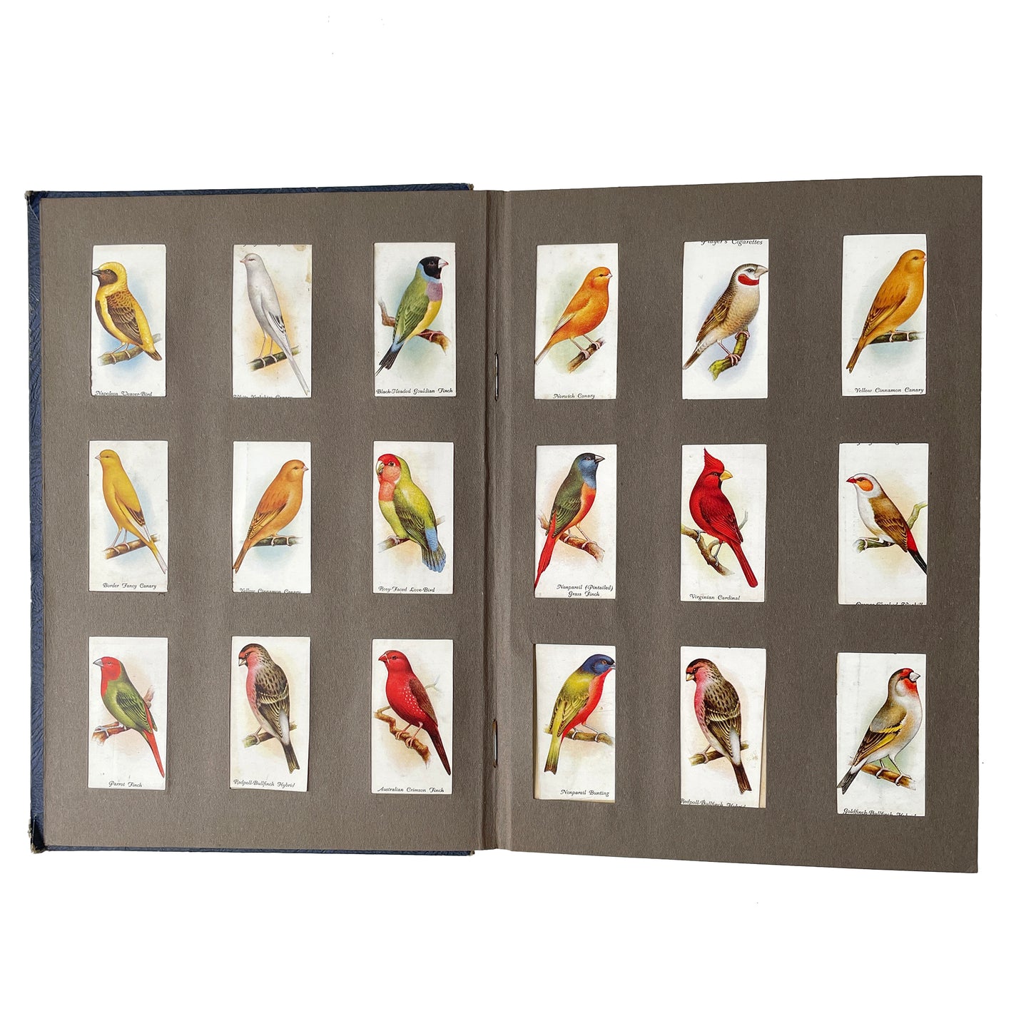 Fantastic Early 20th Century Cigarette Picture Card Album