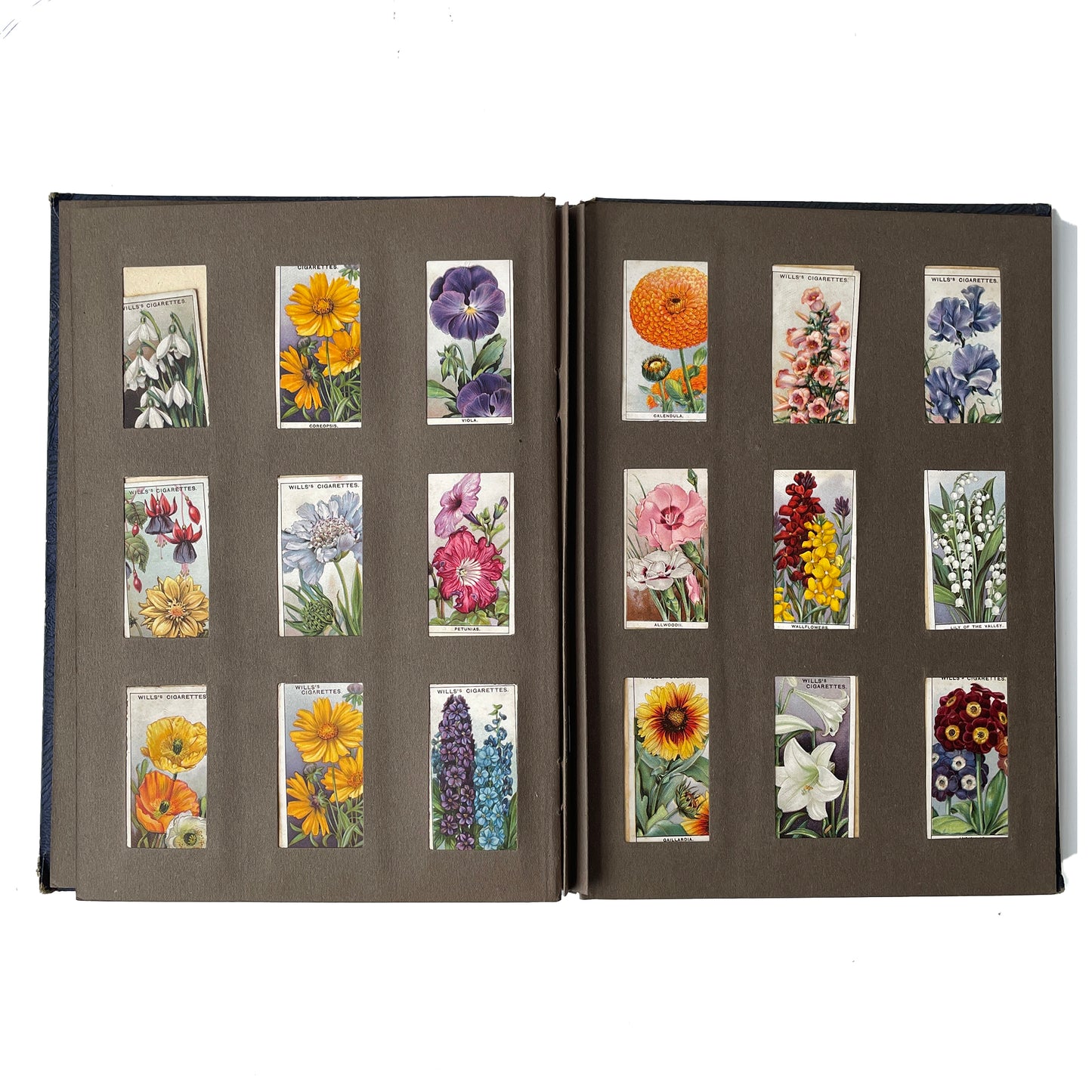 Fantastic Early 20th Century Cigarette Picture Card Album