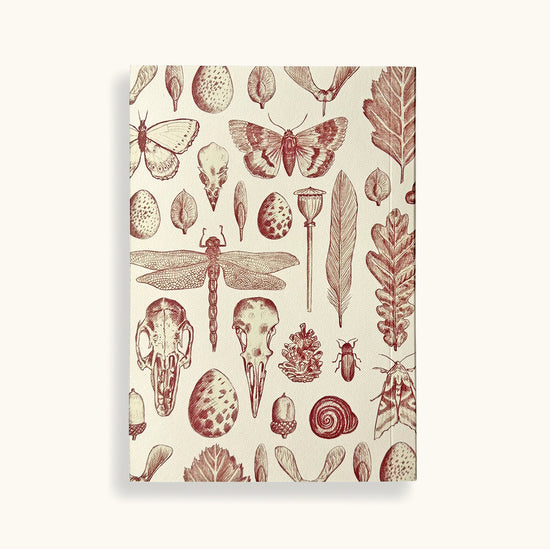 Personalised Natural History Journal With Assorted Papers - Sukie